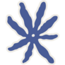 Boho Starfish Sticker