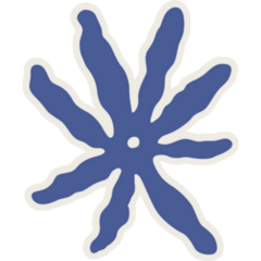 Boho Starfish Sticker