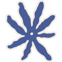 Boho Starfish Sticker
