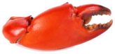 Boiled Claw Crab Sticker