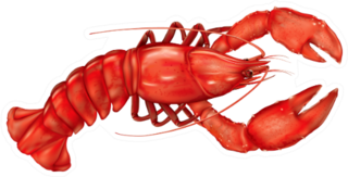 Boiled Lobster On A White Sticker