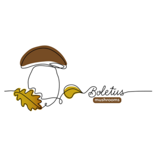 Boletus Porcini Wild Mushroom One Line Drawing Sticker
