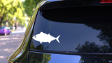 Bonito Fish Sticker on a Rear Car Window (New) example