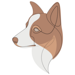 Border Collie Abstract Sticker