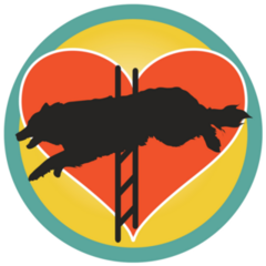 Border Collie Agility Sticker