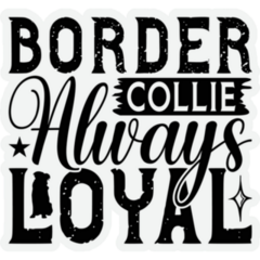 Border Collie Always Loyal Sticker