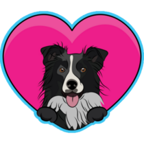 Border Collie Blue Heart Sticker