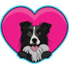 Border Collie Blue Heart Sticker