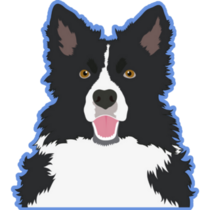 Border Collie Blue Sticker