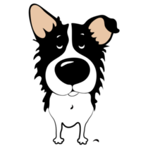 Border Collie Close Up Sticker