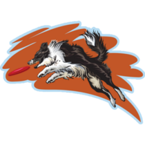 Border Collie Disc Art Sticker