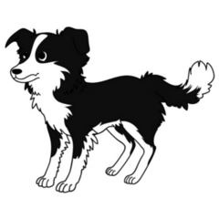 Border Collie Dog Sticker