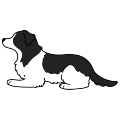Border Collie Down Sticker