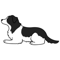 Border Collie Down Sticker