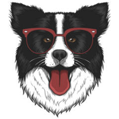 Border Collie Eyeglasses Sticker