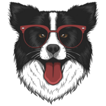 Border Collie Eyeglasses Sticker