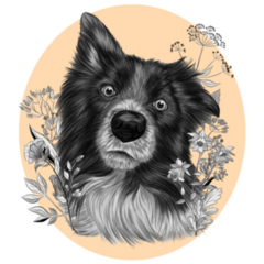 Border Collie Flower Frame Sticker