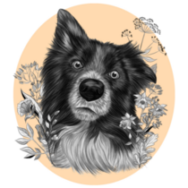 Border Collie Flower Frame Sticker
