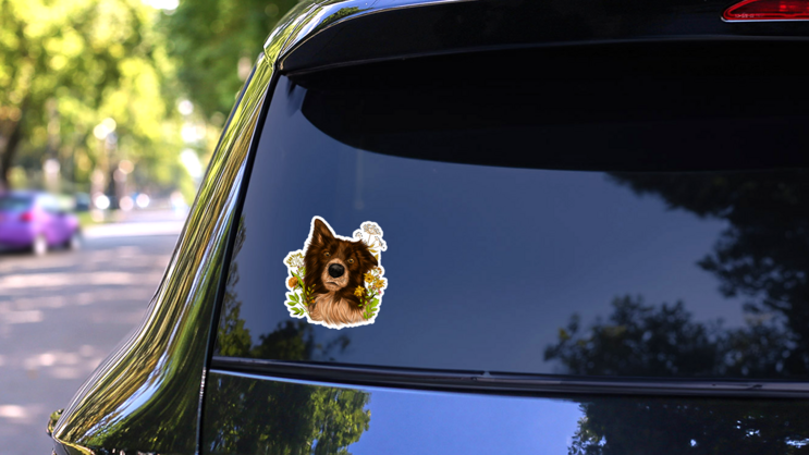 Border Collie Flowers Sticker on a Rear Car Window (New) example