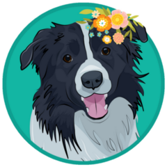 Border Collie Flowers Sticker