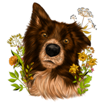 Border Collie Flowers Sticker