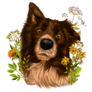 Border Collie Flowers Sticker