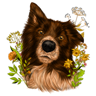 Border Collie Flowers Sticker