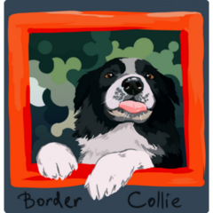 Border Collie Frame Sticker