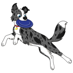 Border Collie Frisbee Sticker