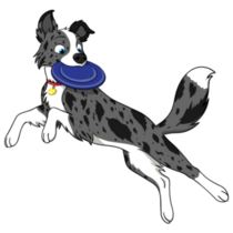 Border Collie Frisbee Sticker