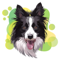 Border Collie Green Portrait Sticker