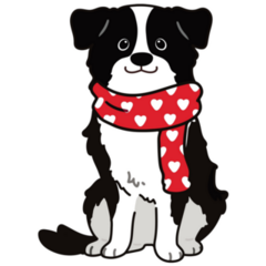Border Collie Heart Scarf Sticker