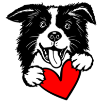 Border Collie Holds Heart Sticker