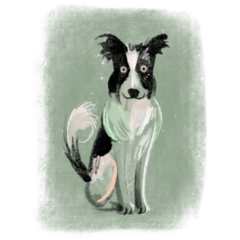 Border Collie Illustration Sticker