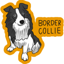 Border Collie Labeled Sticker