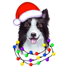 Border Collie Lights Sticker