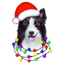 Border Collie Lights Sticker