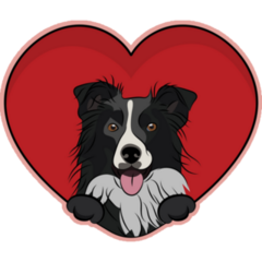 Border Collie Love Sticker