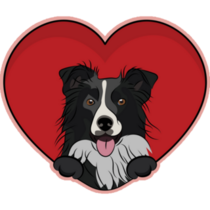 Border Collie Love Sticker