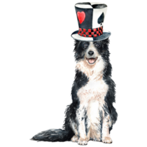 Border Collie Magician Sticker
