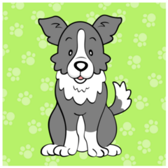 Border Collie On Green Sticker