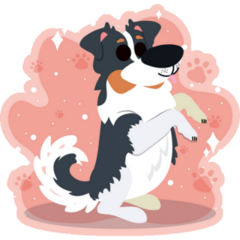 Border Collie On Pink Sticker