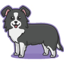 Border Collie On Purple Sticker 