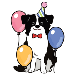 Border Collie Party Sticker