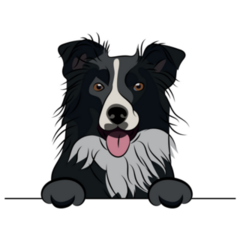 Border Collie Paws Sticker
