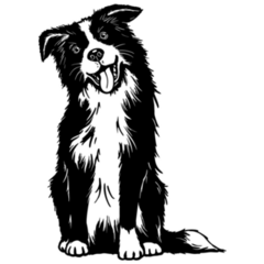 Border Collie Pet Sticker
