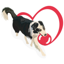 Border Collie Playing Sticker