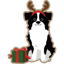 Border Collie Present Sticker