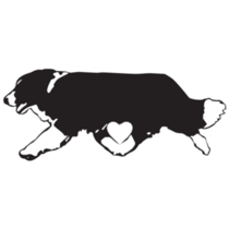 Border Collie Run Heart Sticker
