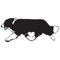 Border Collie Run Heart Sticker